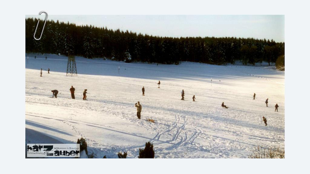 Ferienwohnung Harzauber Braunlage Værelse billede